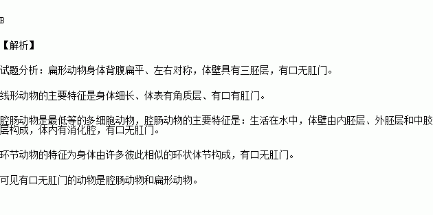 什么动物有口无肛门,肛门是哪里?-图2