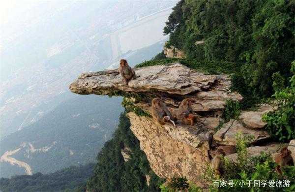 哪里有花果山（哪里有花果山）-图1