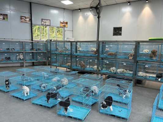 贵阳哪里有犬舍（贵阳哪里有犬舍养殖基地）-图2