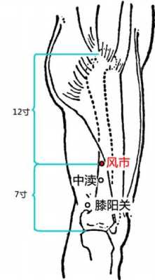 人体风市穴在那个位置,人体胆经在哪里图片-图1