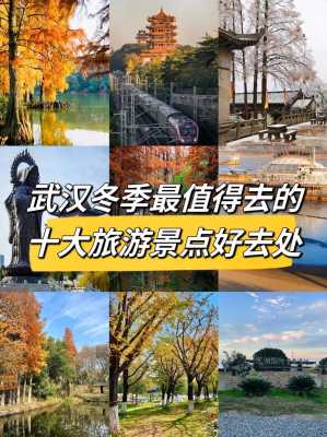 冬季适合去哪里旅行（冬季最适合去哪里旅行）-图2