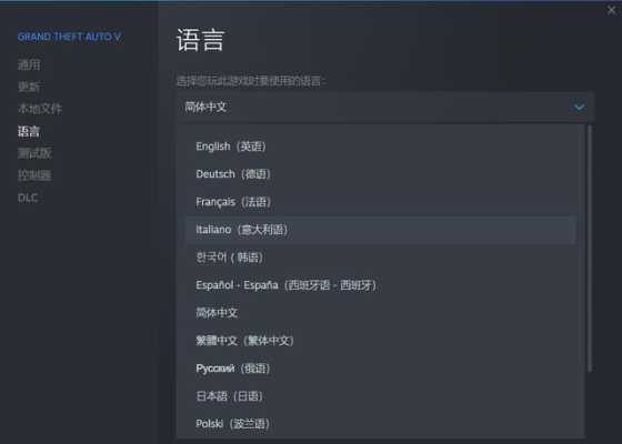 gta5哪里调中文（gta5哪里调中文）-图2