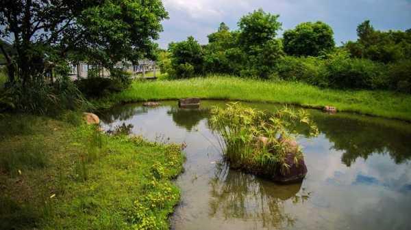 香港哪里有湿又野（香港有什么郊野公园）-图2