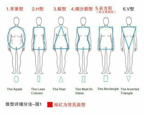 人鱼线和马甲线的区别,人鱼线和马甲线在哪-图3