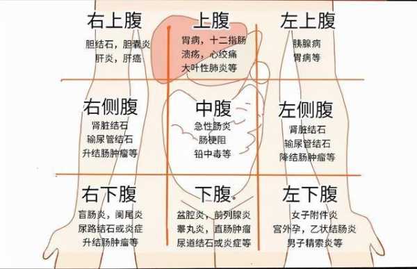 胃有问题，“口”里会发出一些信号，都有哪些,胃疼是哪个地方图片-图1