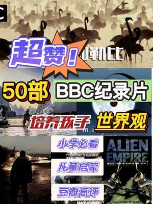 哪里可以下载bbc纪录片（如何在bbc官网下载纪录片）-图2