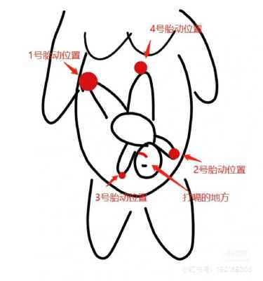 孕晚期头位胎动应该在哪里（头位胎动在什么位置？怀孕晚期胎动多正常吗）-图2