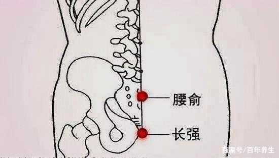 腰腿痛灸哪里（腰疼艾灸什么位置）-图2