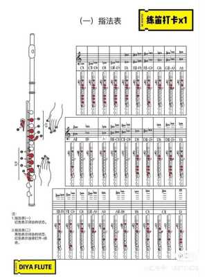 长笛哪里学（长笛哪里学）-图1