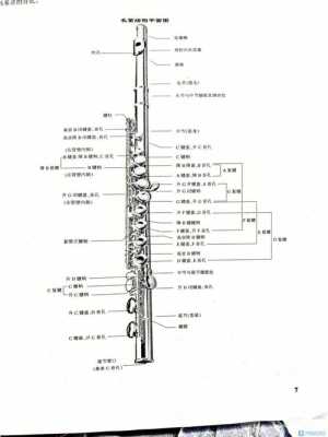 长笛哪里学（长笛哪里学）-图2