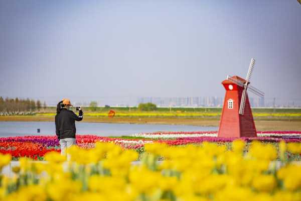 高淳花海在哪里（最近景点都开放了吗？想去自驾了）-图1