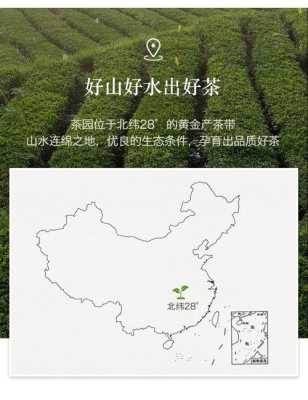 黑茶的产地在哪,黑茶产于哪里最多-图1