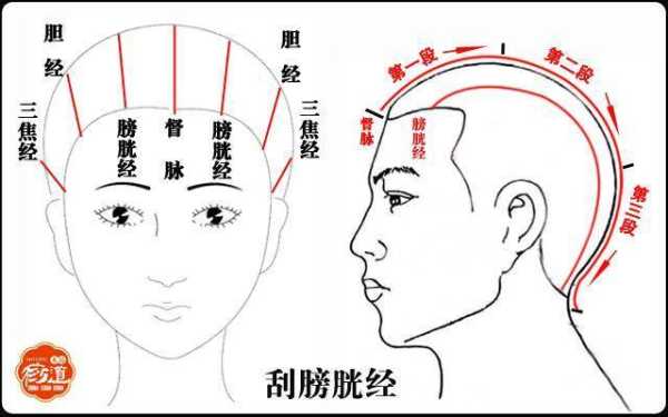 头晕刮痧刮哪里（头晕刮痧刮哪里最好视频）-图3