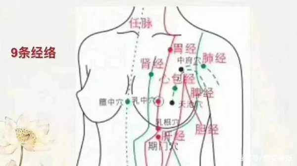 乳房山在哪里（乳房山在哪里）-图1