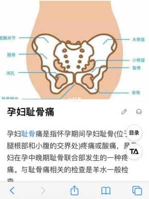 孕妇骨盆疼是怎么回事,孕妇骨盆在哪里图片-图3