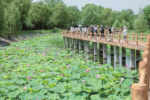 孝义的山西孝河国家湿地公园怎么样,孝义湿地公园在哪里啊-图2