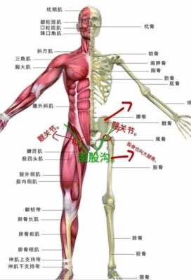 腹骨沟是哪里（腹骨沟是哪里）-图1