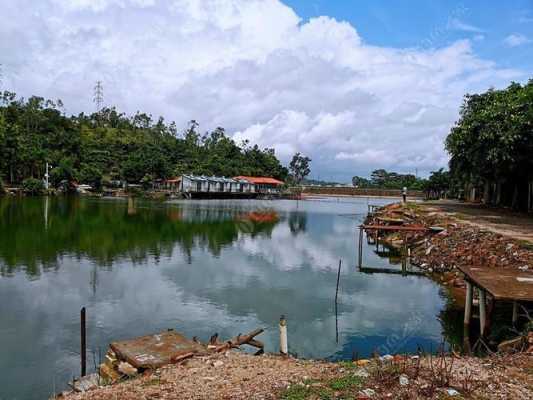 深圳平湖哪里可以钓鱼（深圳平湖哪里可以钓鱼）-图1