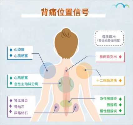 心脏不好后背哪里疼（心脏不好后背哪里疼图片）-图3