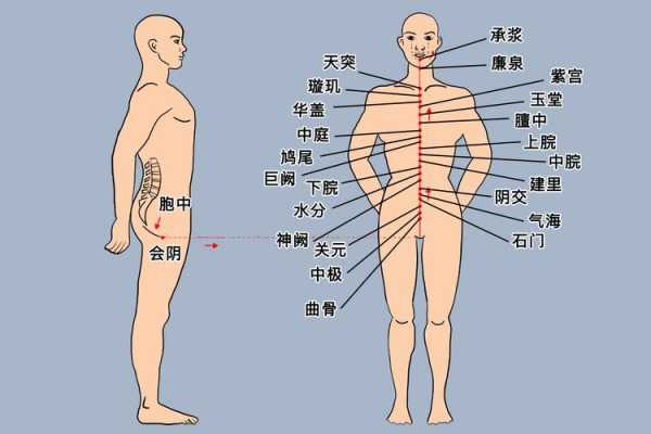 冲任二脉在哪里（40岁以后，月经很多，是什么情况）-图3