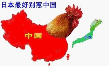 中国哪里有日本鸡（中国哪里有日本鸡卖）-图2