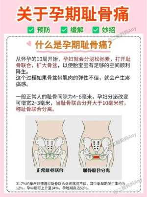 孕妇子宫增大哪里疼（孕期耻骨疼怎么回事）-图2