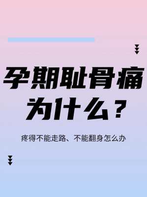 孕妇子宫增大哪里疼（孕期耻骨疼怎么回事）-图1