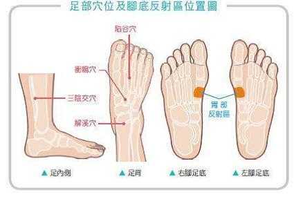 足底的胃穴位疼是怎么回事,肠胃不好按摩脚底哪里图-图2