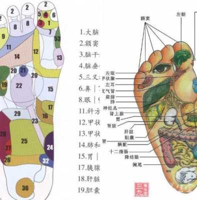 足底的胃穴位疼是怎么回事,肠胃不好按摩脚底哪里图-图1