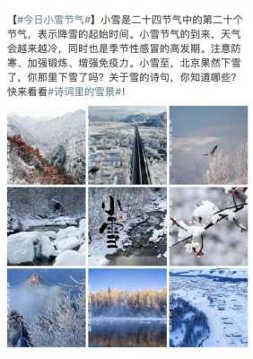 这个季节哪里在下雪（这个季节哪里在下雪）-图3