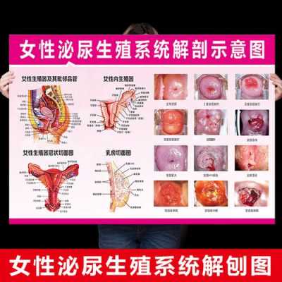 站哪里可以看妇科（妇科有泌尿科吗）-图3