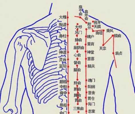 肩周炎拔罐拔哪里（肩周炎拔罐拔哪里图解）-图1