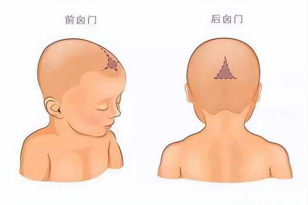 宝宝前囟门在哪里（宝宝前囟门在哪里图片）-图2