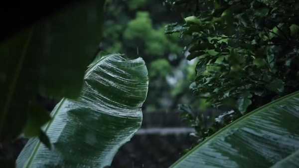 门环惹铜绿出自哪里（帘外芭蕉惹骤雨,门环轻叩沾铜绿,青花水墨愫伏笔,自顾自爱倚烟雨）-图1