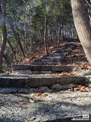 风儿藏在哪里答案（风儿藏在哪里答案）-图1