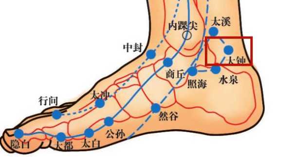 足跟痛按摩哪个穴位,脚后跟疼按摩哪里最有效-图2