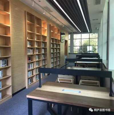 杭州哪里有比较文艺的书店,桐庐图书馆在哪里办公-图2