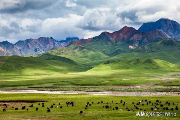 中国最好的草原是哪里（中国三大草原都是什么）-图1