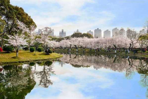 春季去上海旅游怎么样？有哪些好玩的地方推荐,上海春天去哪玩比较好-图1