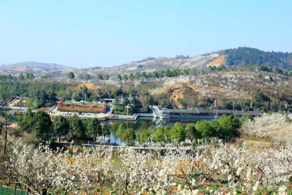 谁知道西安周边哪些地方花开得更灿烂,西安樱桃沟景区在哪里-图2