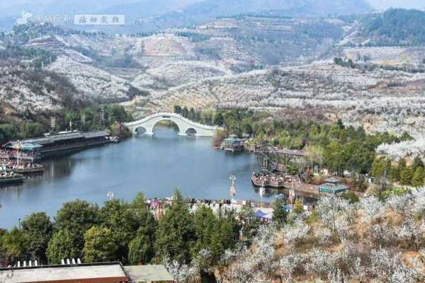 谁知道西安周边哪些地方花开得更灿烂,西安樱桃沟景区在哪里-图1