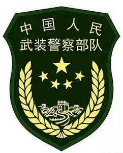 哪里有卖武警肩章的（哪里有卖武警肩章的地方）-图2