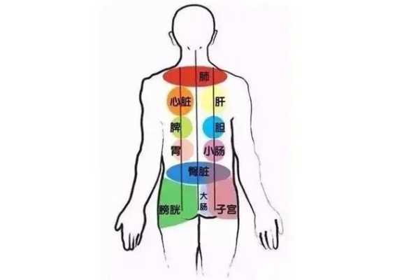 便秘拔罐拔哪里图片（便秘拔罐拔什么位置图）-图1