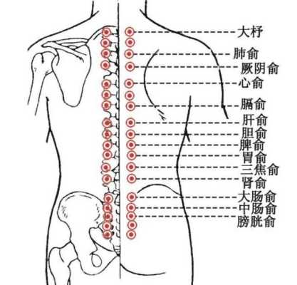 便秘拔罐拔哪里图片（便秘拔罐拔什么位置图）-图2